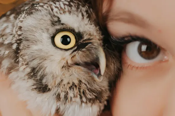 VegasWild Casino Ondersteuning